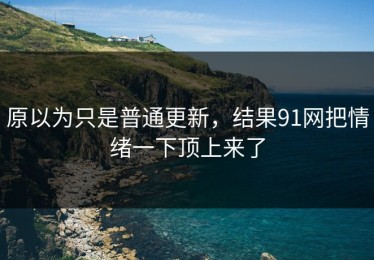原以为只是普通更新，结果91网把情绪一下顶上来了