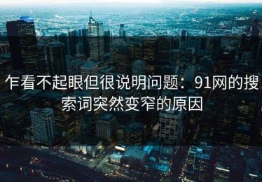 乍看不起眼但很说明问题：91网的搜索词突然变窄的原因