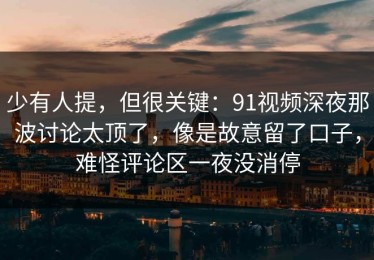 少有人提，但很关键：91视频深夜那波讨论太顶了，像是故意留了口子，难怪评论区一夜没消停