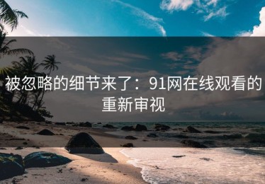 被忽略的细节来了：91网在线观看的重新审视