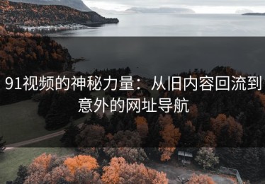 91视频的神秘力量：从旧内容回流到意外的网址导航