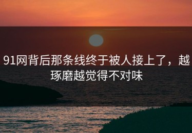 91网背后那条线终于被人接上了，越琢磨越觉得不对味