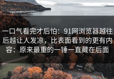 一口气看完才后怕：91网浏览器越往后越让人发凉，比表面看到的更有内容：原来最重的一锤一直藏在后面