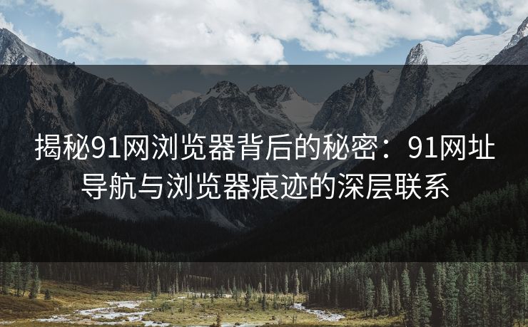揭秘91网浏览器背后的秘密：91网址导航与浏览器痕迹的深层联系