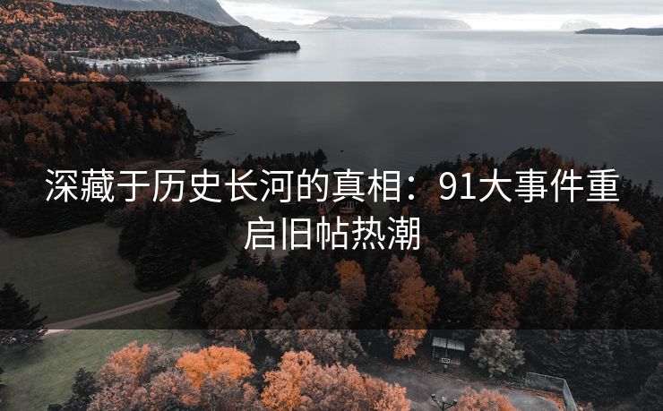 深藏于历史长河的真相：91大事件重启旧帖热潮