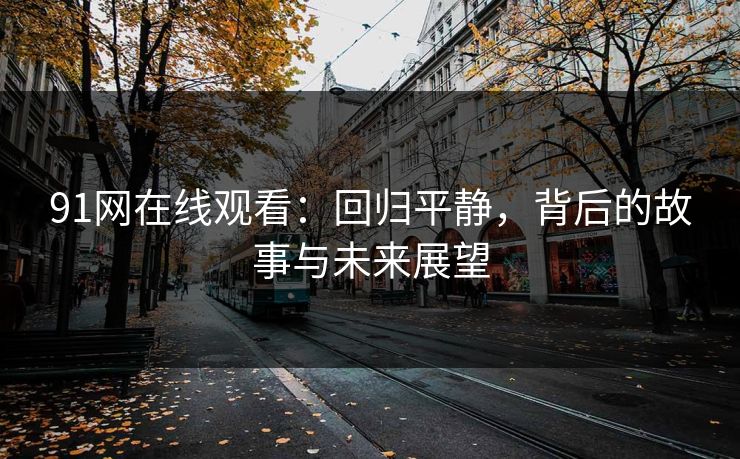 91网在线观看：回归平静，背后的故事与未来展望