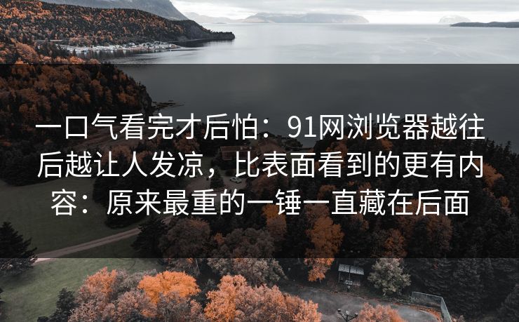 一口气看完才后怕：91网浏览器越往后越让人发凉，比表面看到的更有内容：原来最重的一锤一直藏在后面
