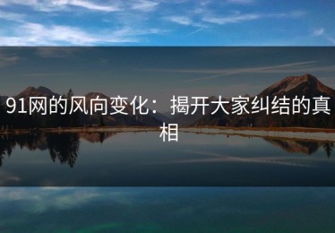 91网的风向变化：揭开大家纠结的真相