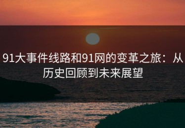 91大事件线路和91网的变革之旅：从历史回顾到未来展望