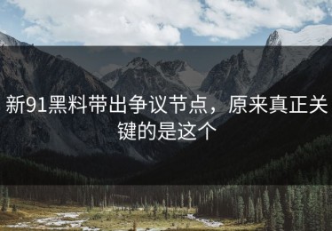 新91黑料带出争议节点，原来真正关键的是这个