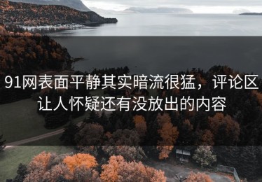 91网表面平静其实暗流很猛，评论区让人怀疑还有没放出的内容