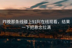昨晚那条线碰上91网在线观看，结果一下把悬念拉满