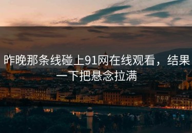 昨晚那条线碰上91网在线观看，结果一下把悬念拉满