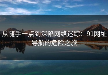 从随手一点到深陷网络迷踪：91网址导航的危险之旅
