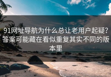 91网址导航为什么总让老用户起疑？答案可能藏在看似重复其实不同的版本里