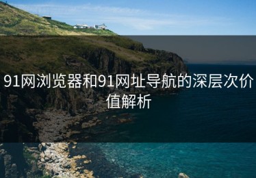 91网浏览器和91网址导航的深层次价值解析
