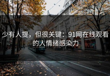 少有人提，但很关键：91网在线观看的人情绪感染力