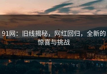 91网：旧线揭秘，网红回归，全新的惊喜与挑战