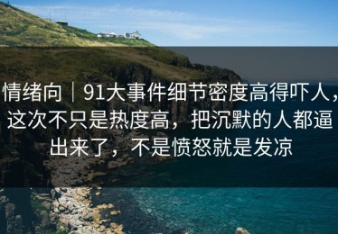 情绪向｜91大事件细节密度高得吓人，这次不只是热度高，把沉默的人都逼出来了，不是愤怒就是发凉