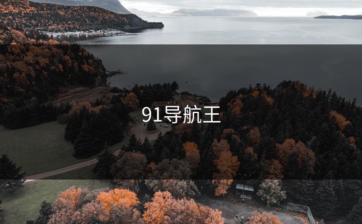 91导航王