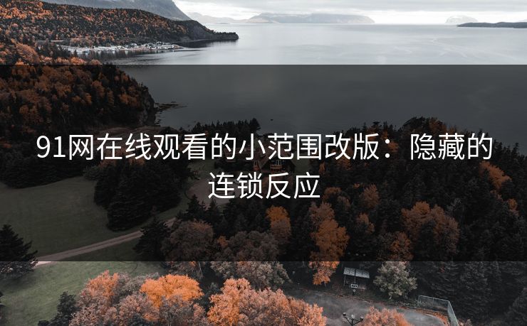 91网在线观看的小范围改版：隐藏的连锁反应